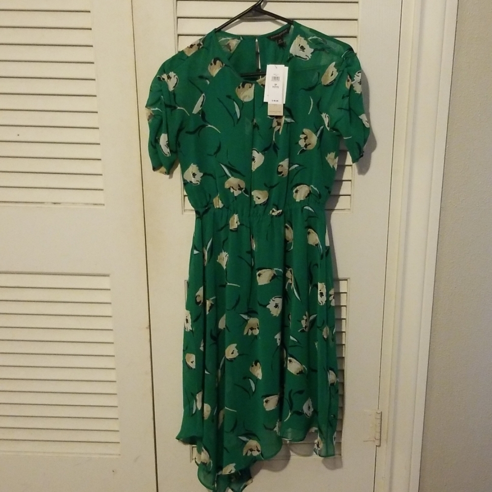 Banana Republic kelly green floral dress